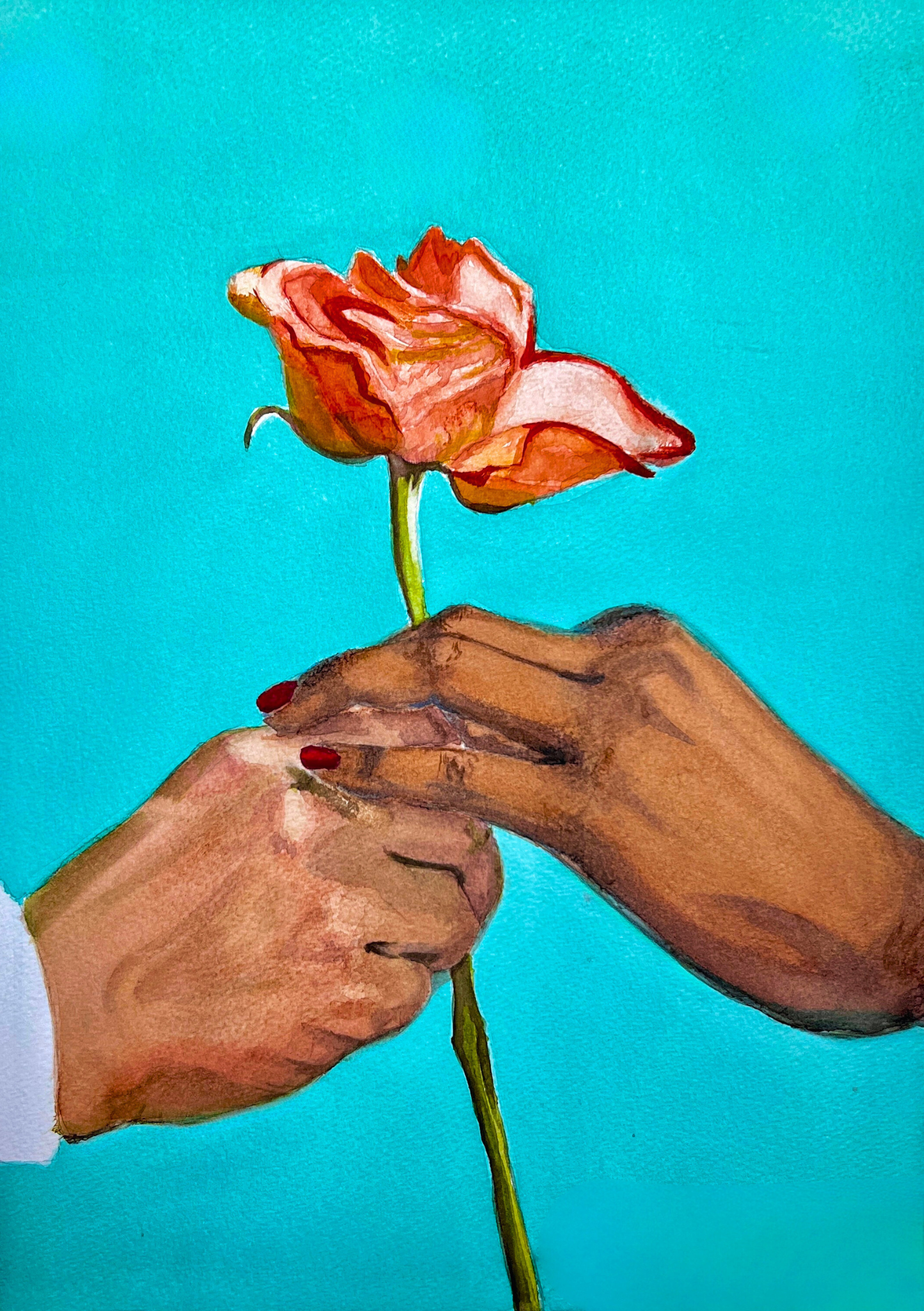 Two hands holding a wilted rose against a turquoise background